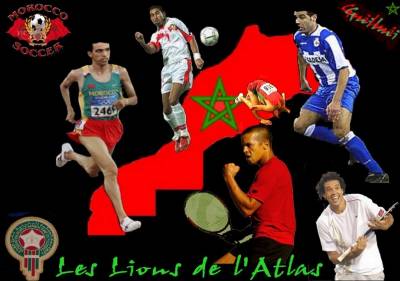 lions de l'atlas
